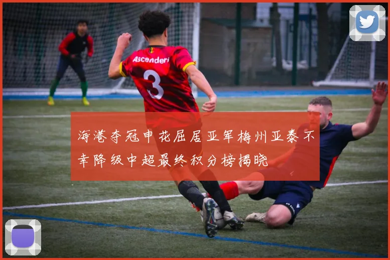 海港夺冠申花屈居亚军梅州亚泰不幸降级中超最终积分榜揭晓