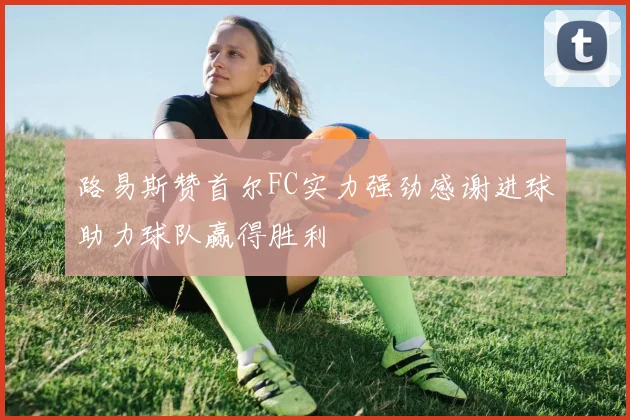 路易斯赞首尔FC实力强劲感谢进球助力球队赢得胜利
