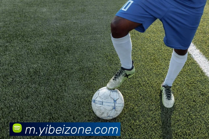 多媒体互动体验