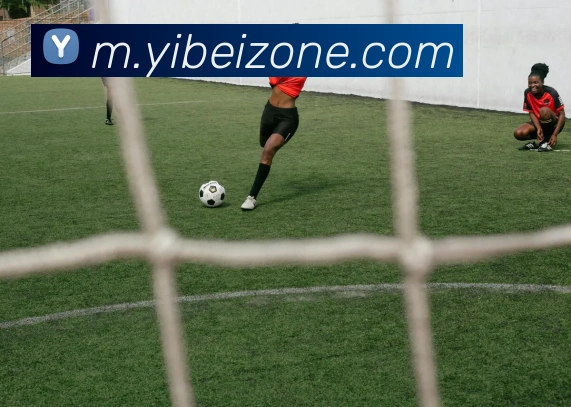 易倍体育APP 高清赛事图